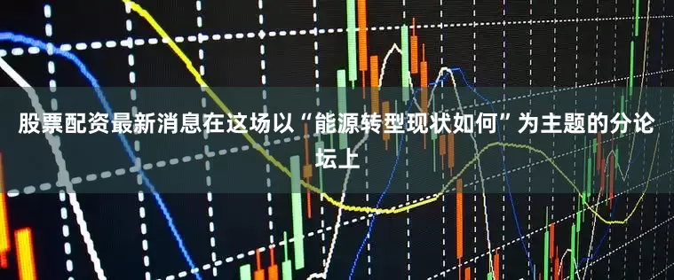 股票配资最新消息在这场以“能源转型现状如何”为主题的分论坛上