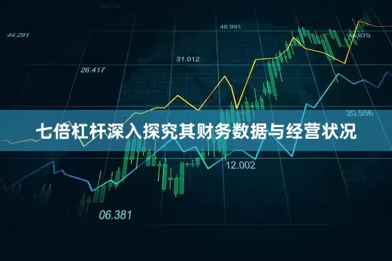 七倍杠杆深入探究其财务数据与经营状况