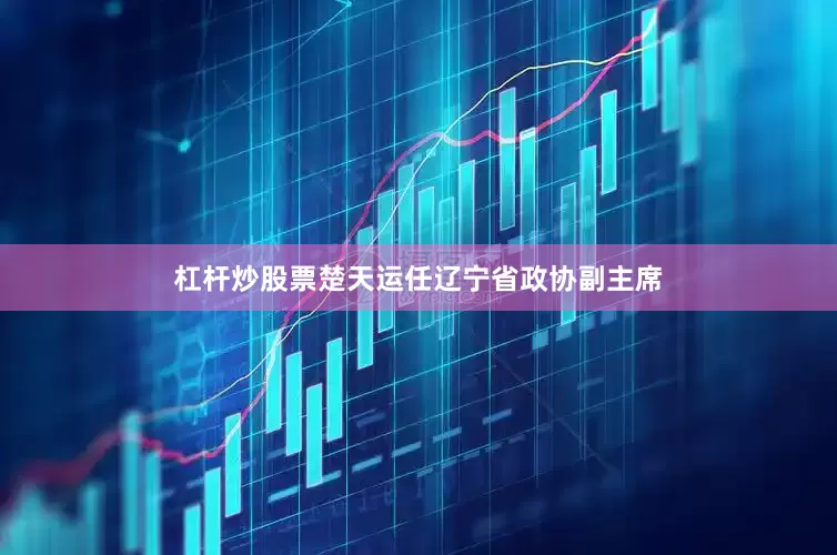 杠杆炒股票楚天运任辽宁省政协副主席