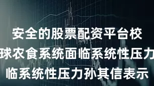 安全的股票配资平台校方供图全球农食系统面临系统性压力孙其信表示