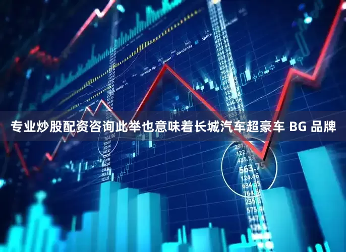 专业炒股配资咨询此举也意味着长城汽车超豪车 BG 品牌